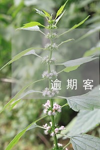 逾期客户gps 逾期客户gps