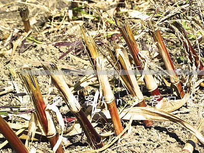 逾期客户n3客户什么意思 逾期客户n3客户什么意思
