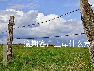 逾期客户上岸什么意思 逾期客户上岸什么意思