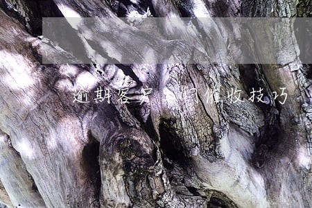 逾期客户上门催收技巧