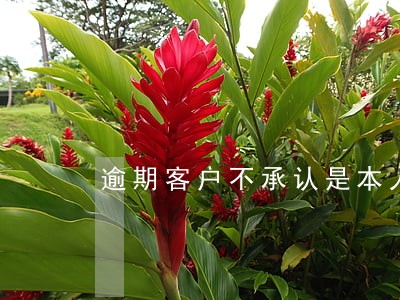 逾期客户不承认是本人 逾期客户不承认是本人