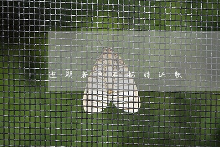 逾期客户不按时还款 逾期客户不按时还款