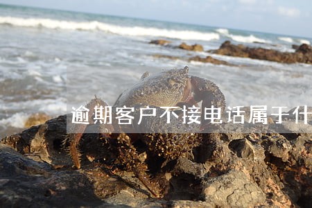 逾期客户不接电话属于什么行为 逾期客户不接电话属于什么行为