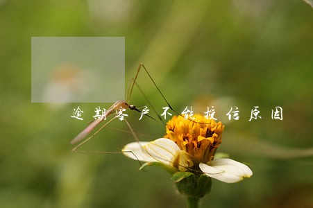 逾期客户不能授信原因 逾期客户不能授信原因
