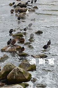 逾期客户不认违约金 逾期客户不认违约金