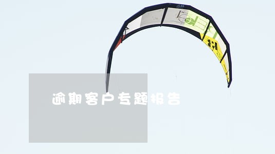 逾期客户专题报告 逾期客户专题报告