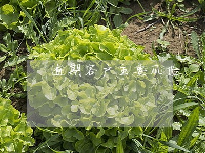 逾期客户主要风险 逾期客户主要风险