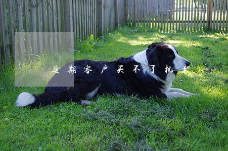逾期客户买不了机票 逾期客户买不了机票