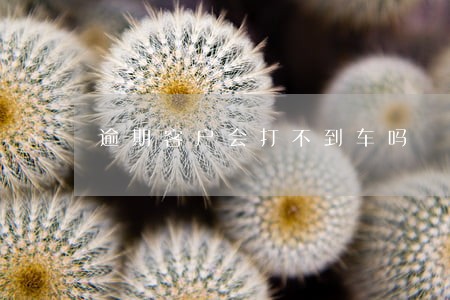 逾期客户会打不到车吗 逾期客户会打不到车吗