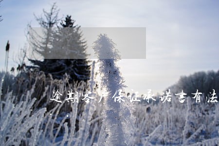 逾期客户保证承诺书有法律效应吗 逾期客户保证承诺书有法律效应吗