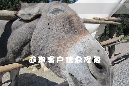 逾期客户信息修复 逾期客户信息修复