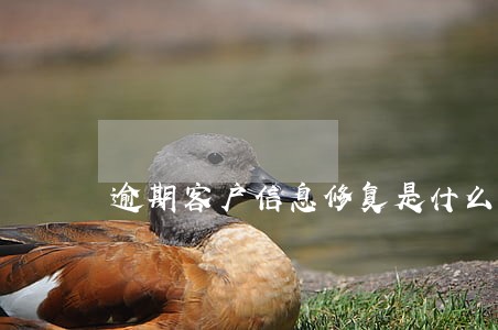 逾期客户信息修复是什么工作 逾期客户信息修复是什么工作