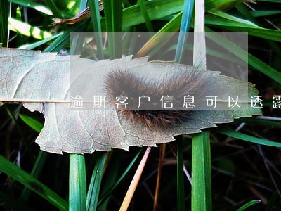 逾期客户信息可以透露吗 逾期客户信息可以透露吗