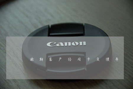 逾期客户信用卡负债率 逾期客户信用卡负债率