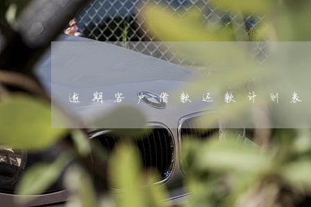 逾期客户借款还款计划表模板 逾期客户借款还款计划表模板