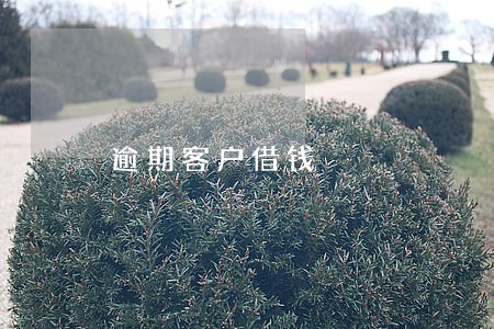 逾期客户借钱 逾期客户借钱