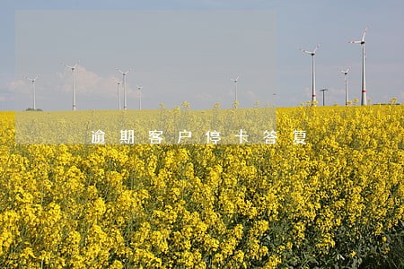 逾期客户停卡答复 逾期客户停卡答复