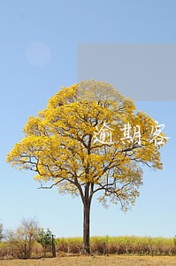 逾期客户催收工作计划 逾期客户催收工作计划
