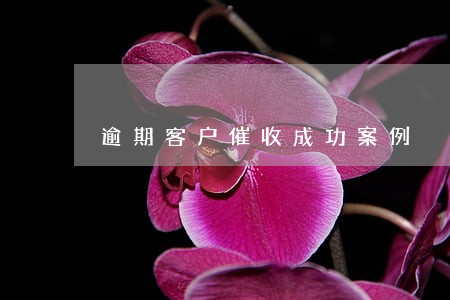 逾期客户催收成功案例 逾期客户催收成功案例