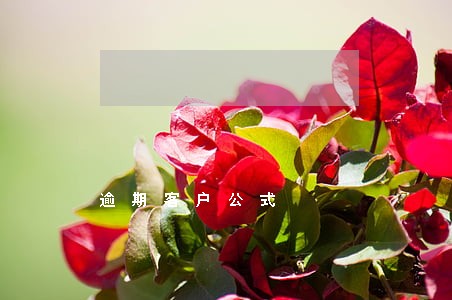 逾期客户公式 逾期客户公式