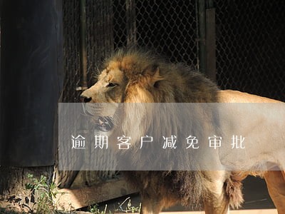 逾期客户减免审批 逾期客户减免审批