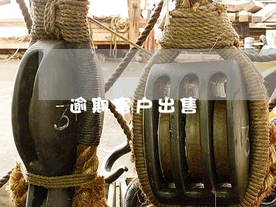 逾期客户出售 逾期客户出售