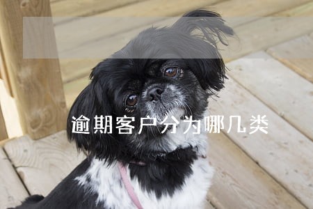 逾期客户分为哪几类 逾期客户分为哪几类