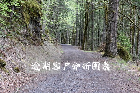 逾期客户分析图表 逾期客户分析图表