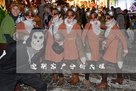 逾期客户分析大框
