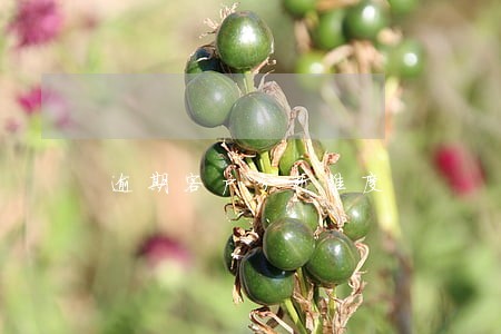 逾期客户分析维度 逾期客户分析维度