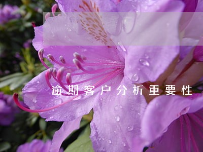 逾期客户分析重要性 逾期客户分析重要性
