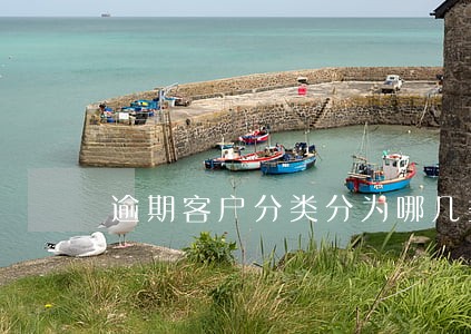 逾期客户分类分为哪几类 逾期客户分类分为哪几类