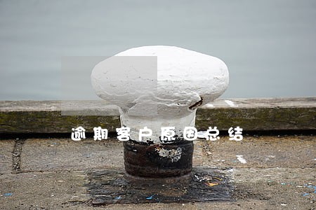 逾期客户原因总结 逾期客户原因总结