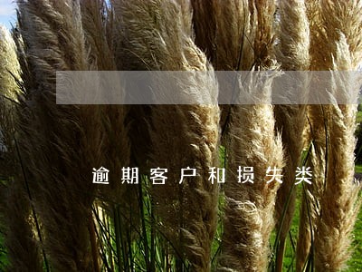 逾期客户和损失类 逾期客户和损失类