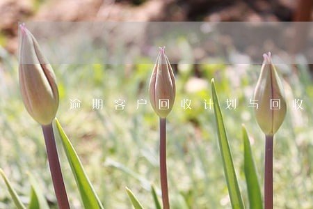 逾期客户回收计划与回收方案 逾期客户回收计划与回收方案