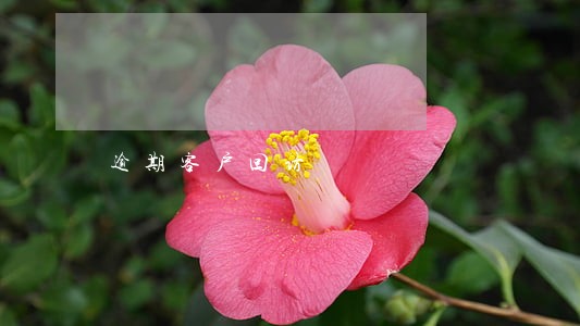 逾期客户回访 逾期客户回访