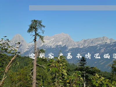 逾期客户基本情况描述 逾期客户基本情况描述