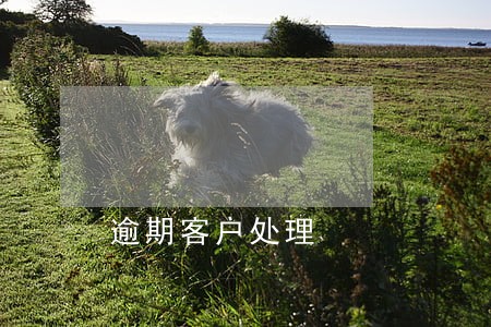 逾期客户处理