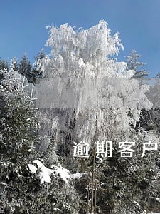 逾期客户安年龄分类 逾期客户安年龄分类