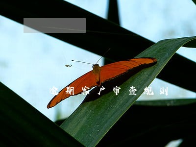 逾期客户审查规则 逾期客户审查规则