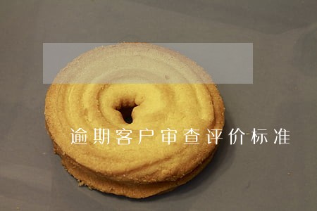 逾期客户审查评价标准