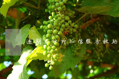 逾期客户对征信服务救助要求 逾期客户对征信服务救助要求