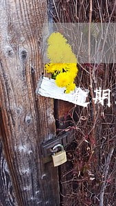 逾期客户对策 逾期客户对策