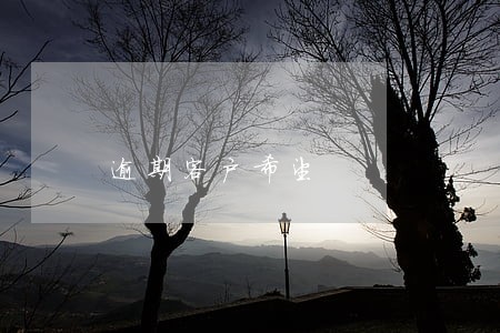 逾期客户希望 逾期客户希望