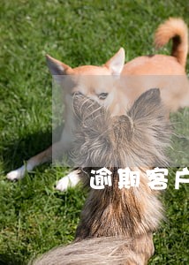 逾期客户年龄分析
