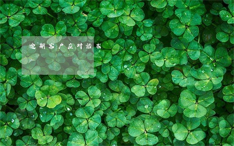 逾期客户应对话术 逾期客户应对话术