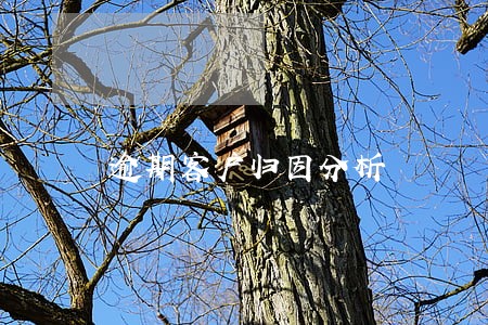 逾期客户归因分析 逾期客户归因分析