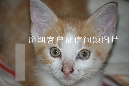 逾期客户征信问题图片 逾期客户征信问题图片