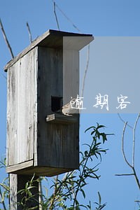 逾期客户怎么追帐 逾期客户怎么追帐