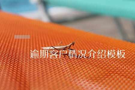 逾期客户情况介绍模板 逾期客户情况介绍模板